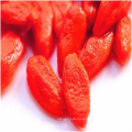 Bagas de Goji secas / Exportação de bagas de Goji orgânicas / Frutas de Goji a granel